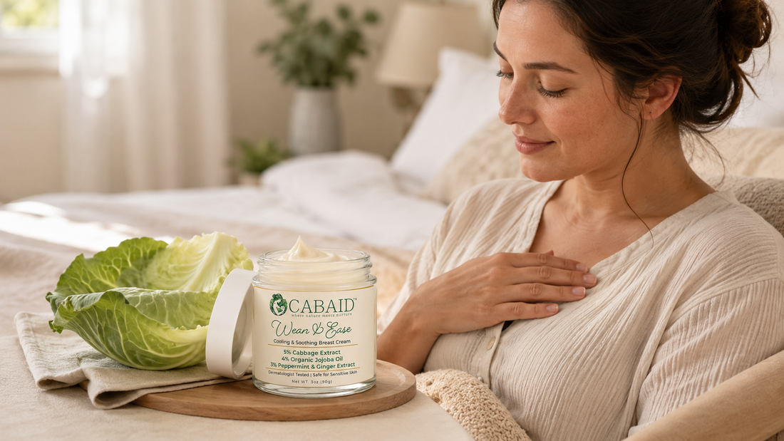 Why Do Cabbage Leaves Help Breast Engorgement? What the Research Says